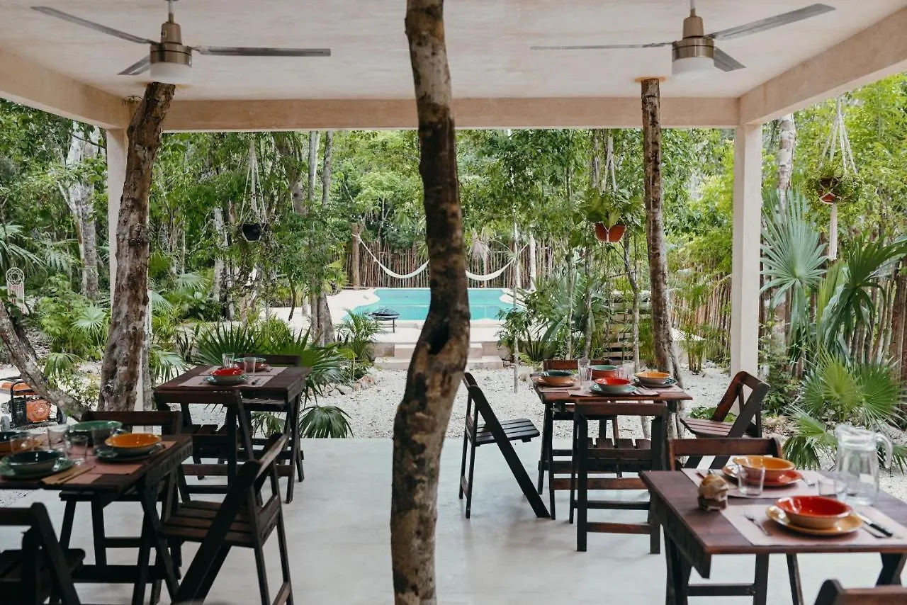 Lunita Jungle Experience Hotel Puerto Morelos