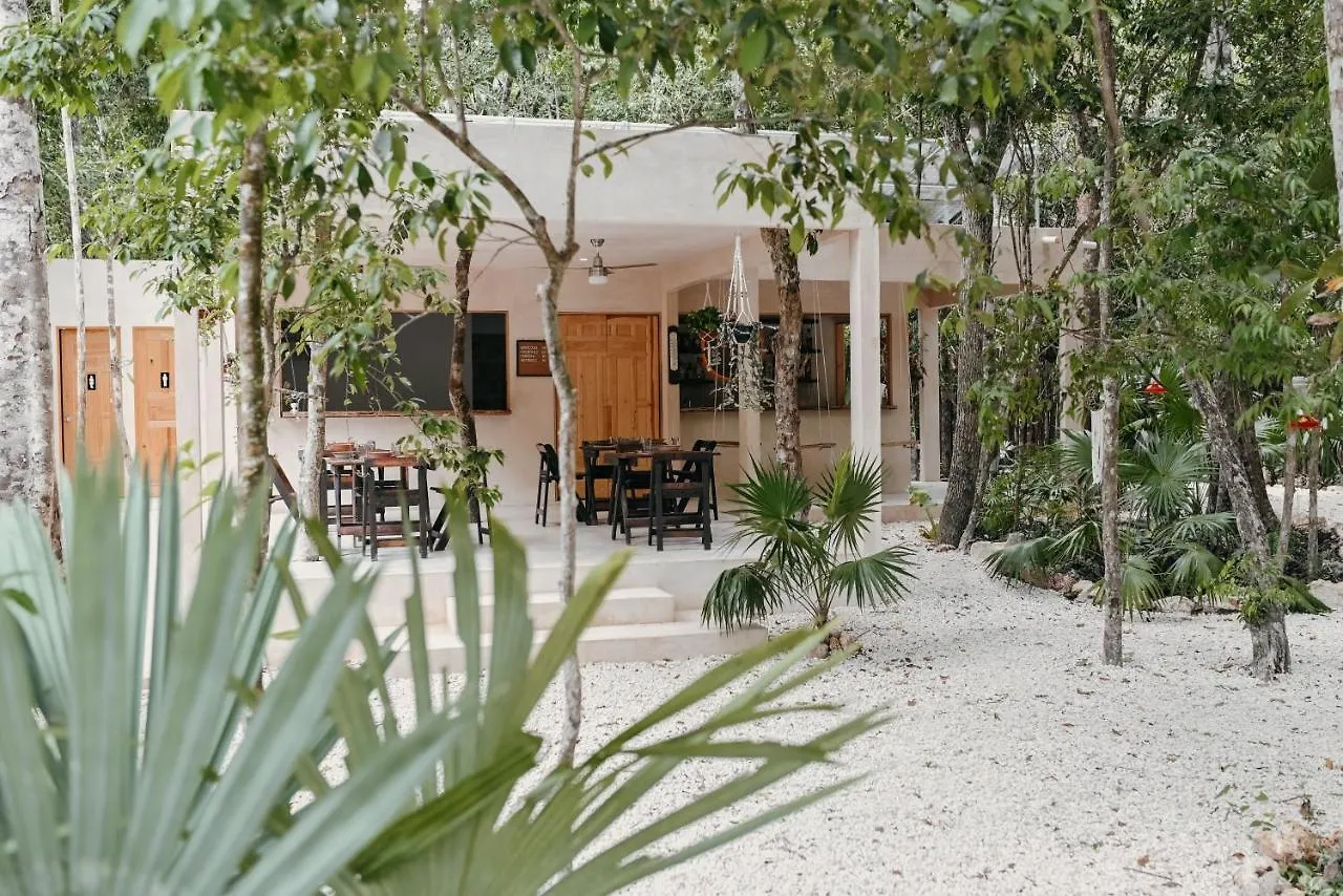 ***  Lunita Jungle Experience Hotel Puerto Morelos Mexico