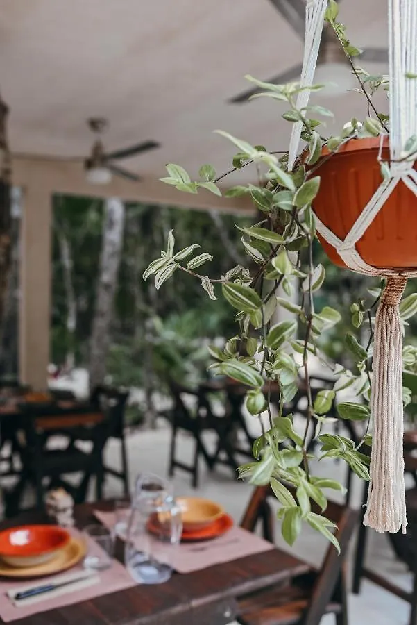 Lunita Jungle Experience Hotel Puerto Morelos