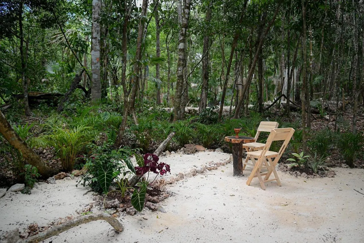 ***  Lunita Jungle Experience Hotel Puerto Morelos Mexico
