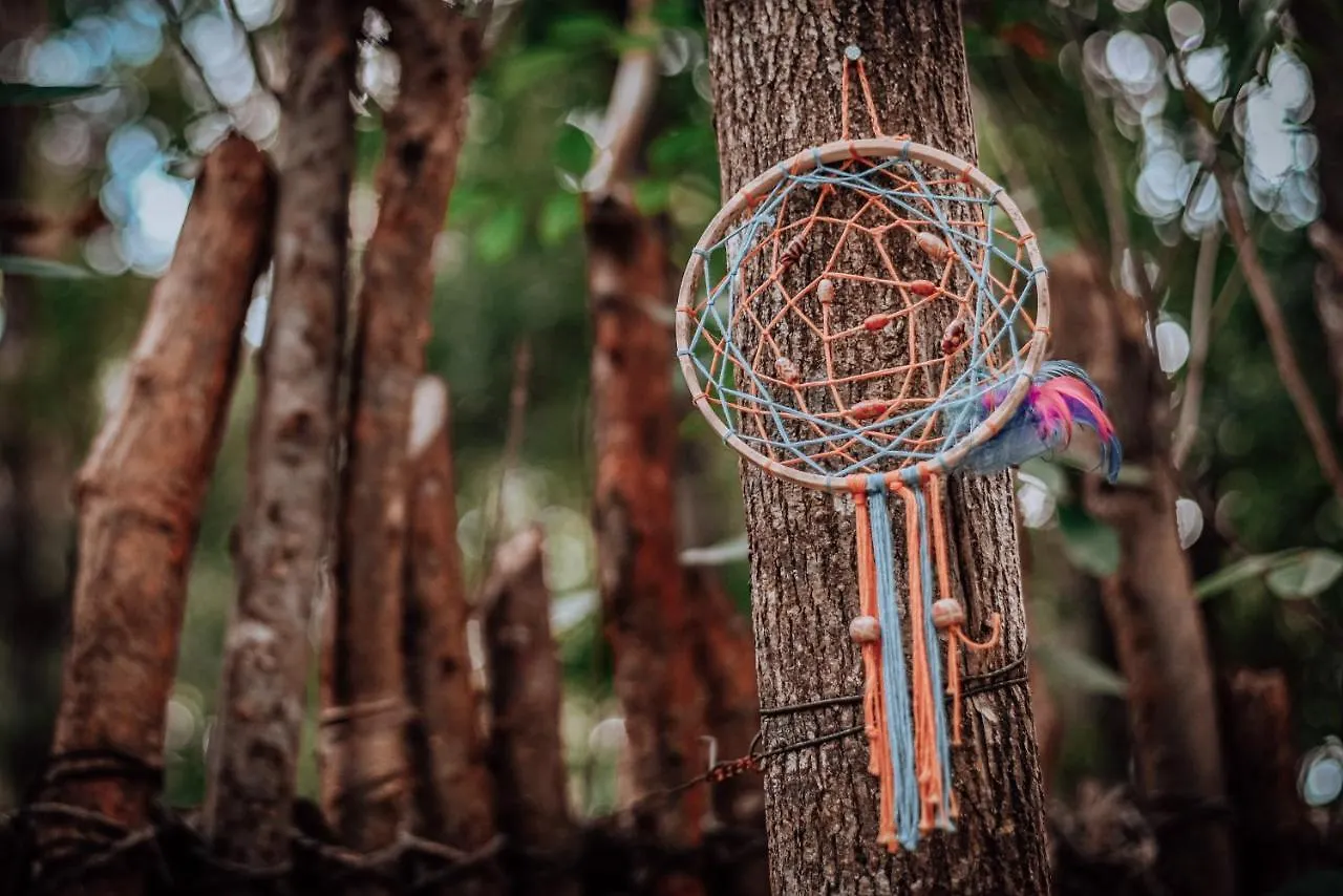 Lunita Jungle Experience Hotel Puerto Morelos