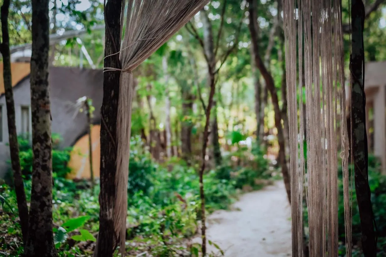 Lunita Jungle Experience Hotel Puerto Morelos