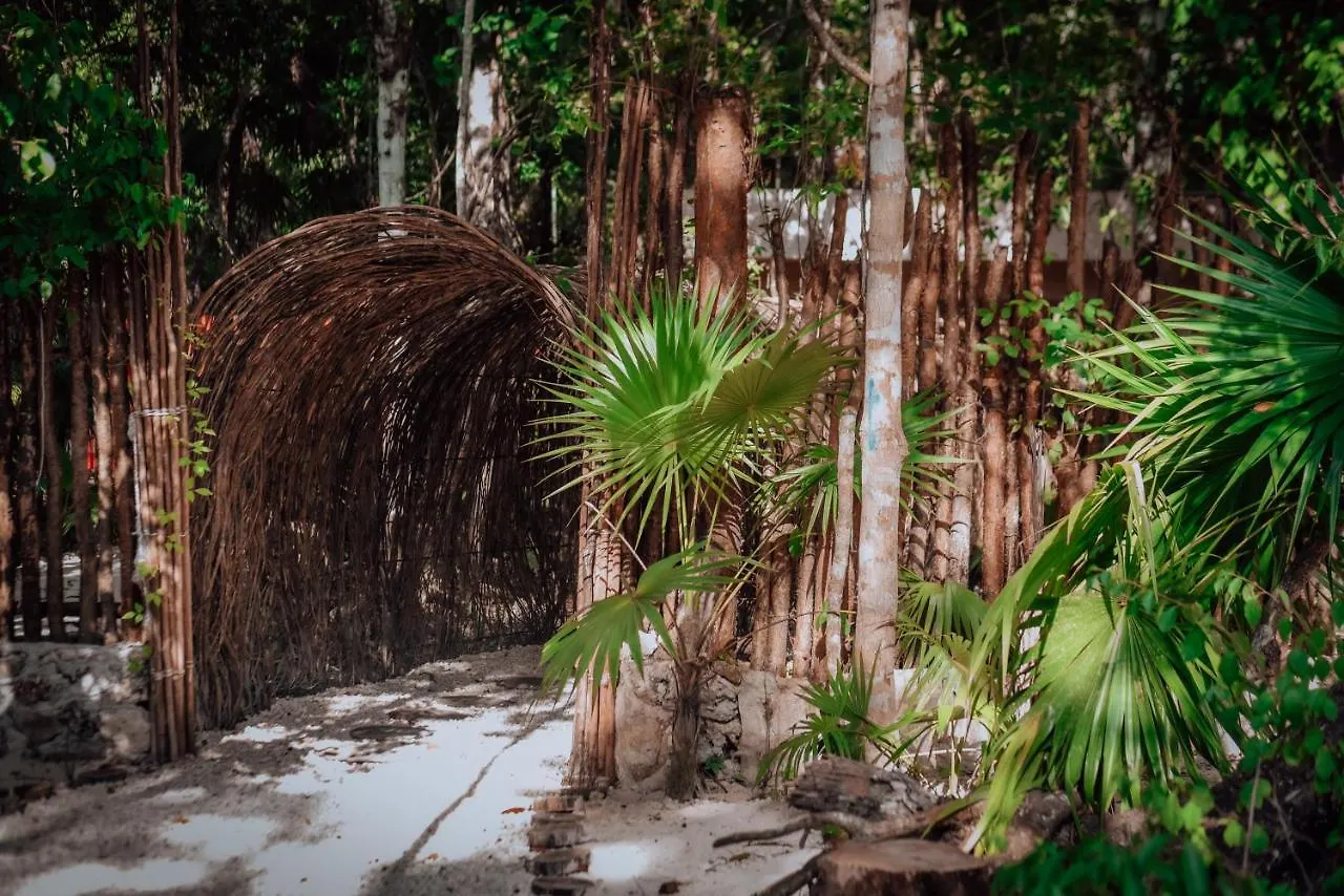 Lunita Jungle Experience Hotel Puerto Morelos
