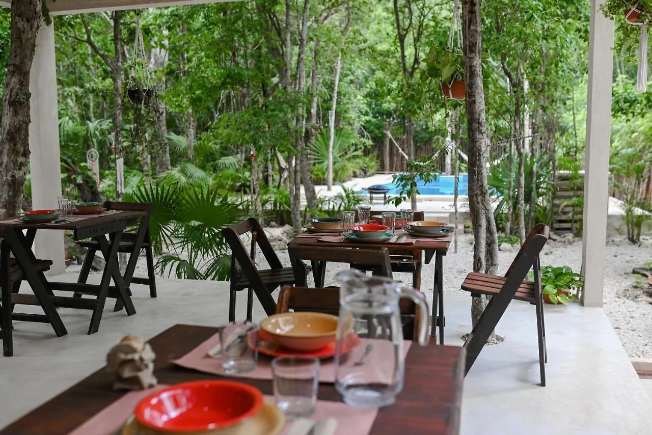 Lunita Jungle Experience Hotel Puerto Morelos