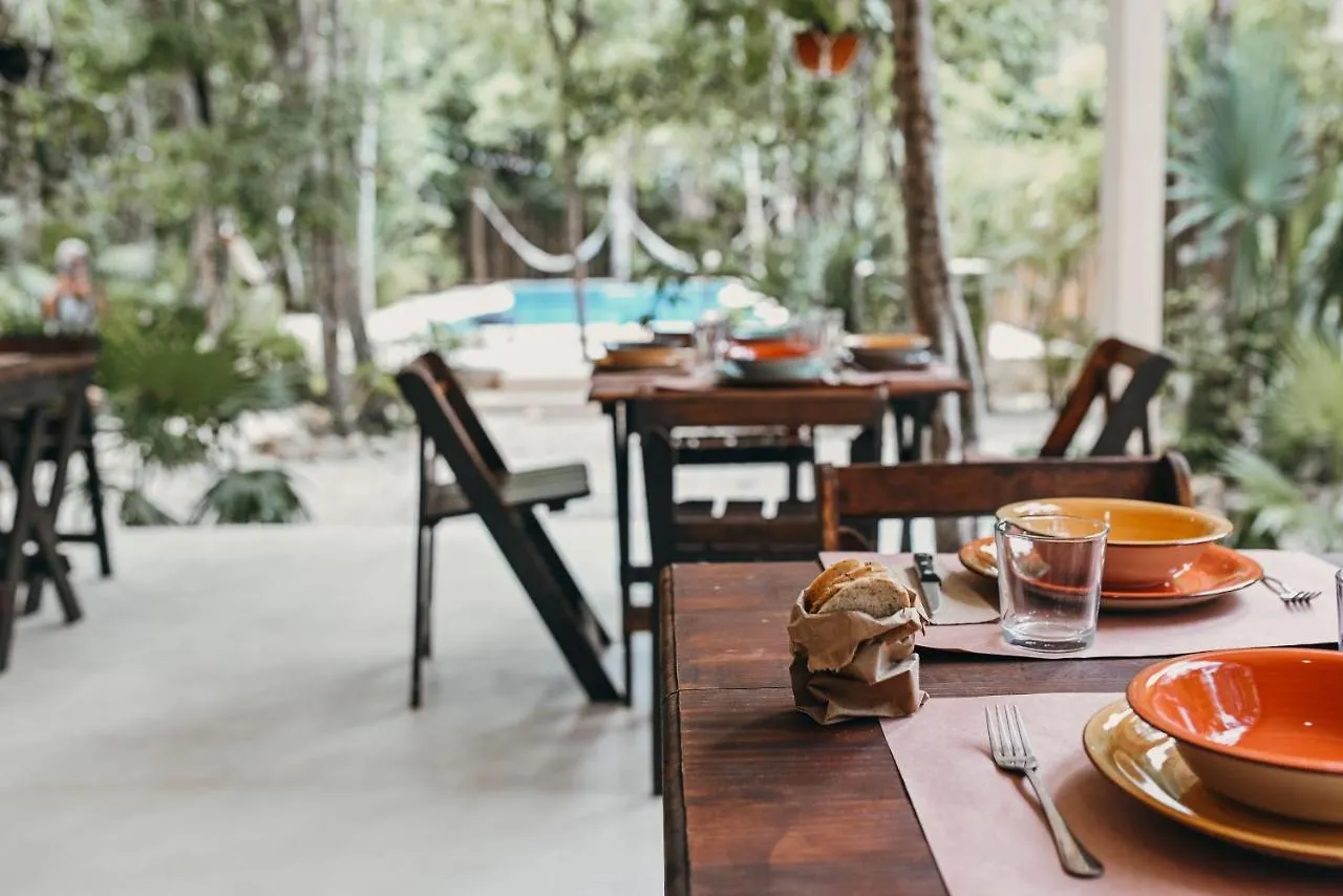 Lunita Jungle Experience Hotel Puerto Morelos