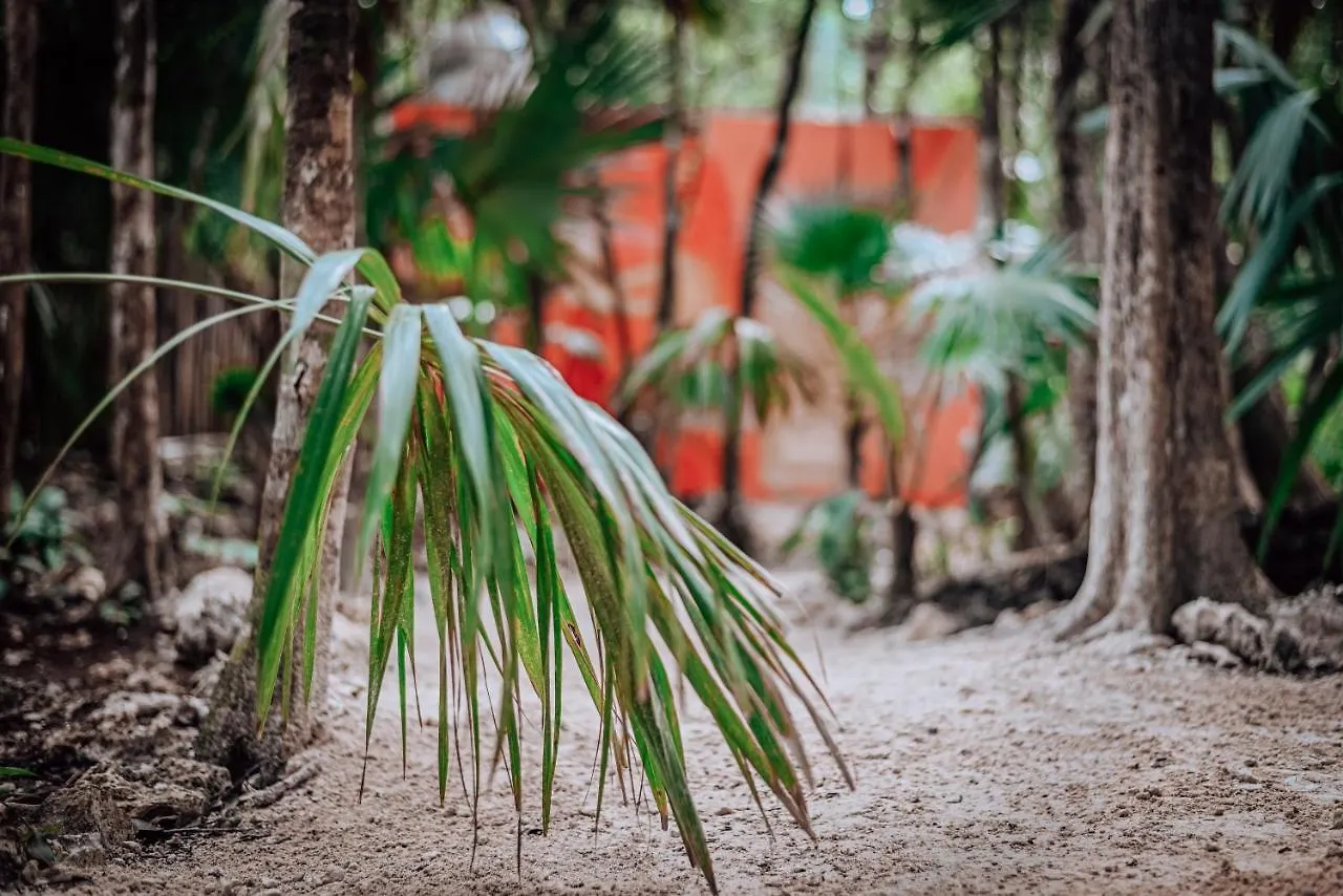 Lunita Jungle Experience Hotel Puerto Morelos