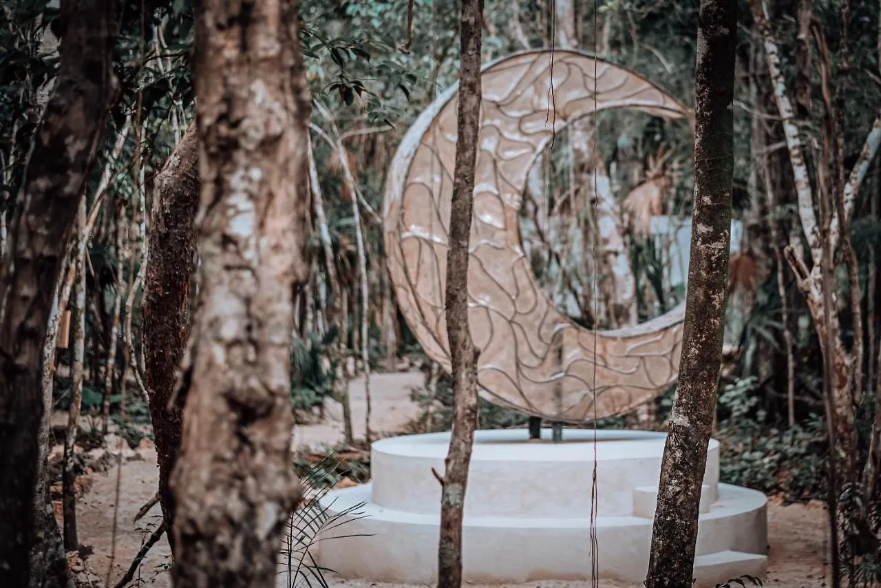 Lunita Jungle Experience Hotel Puerto Morelos