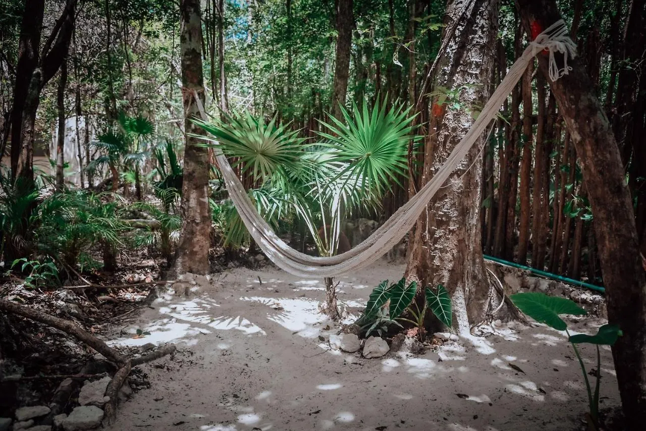 Lunita Jungle Experience Hotel Puerto Morelos Mexico