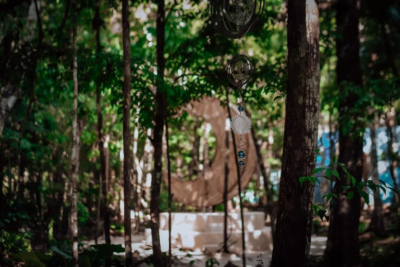 Lunita Jungle Experience Hotel Puerto Morelos