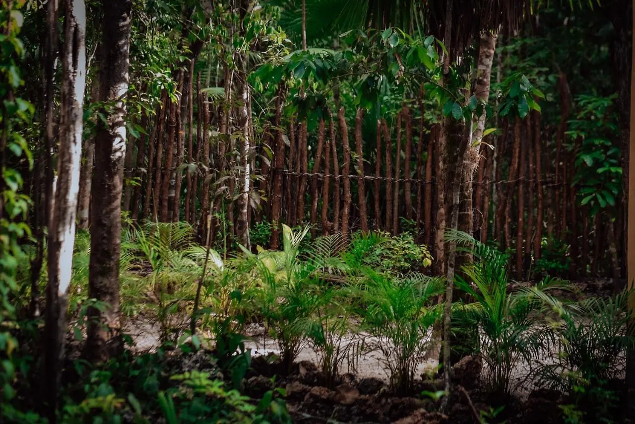 Lunita Jungle Experience Hotel Puerto Morelos Mexico