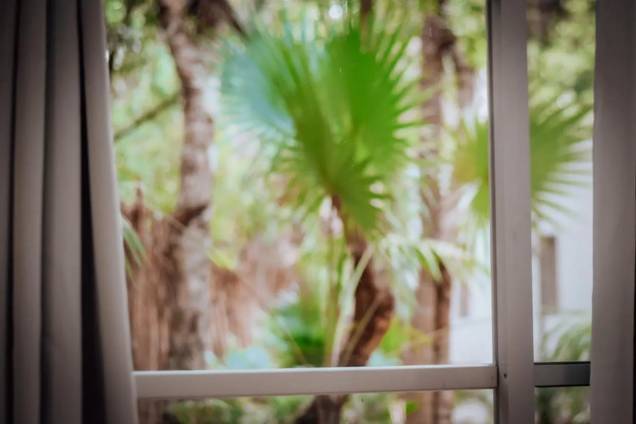 Lunita Jungle Experience Hotel Puerto Morelos