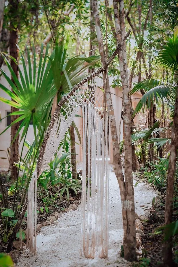 Lunita Jungle Experience Hotel Puerto Morelos