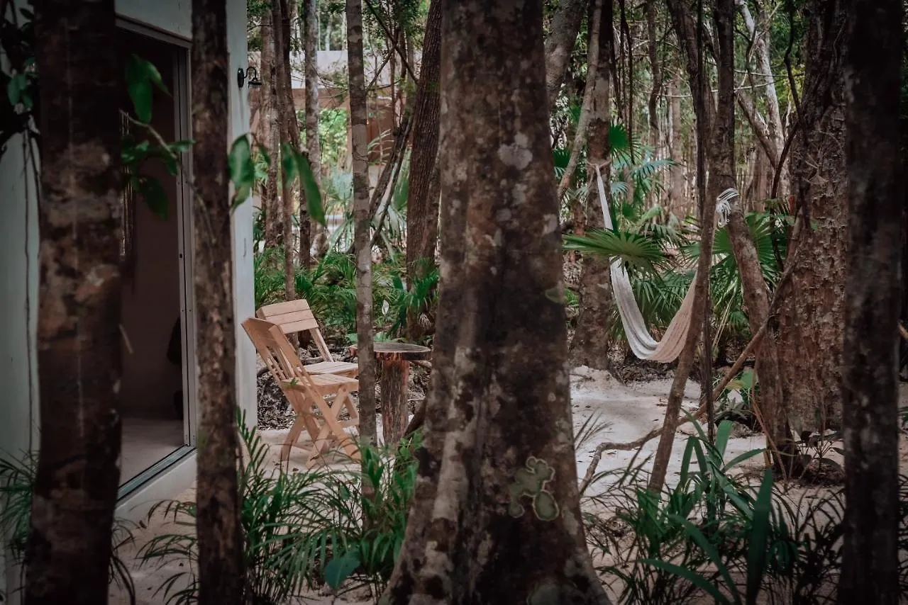 Lunita Jungle Experience Hotel Puerto Morelos 3*,  Mexico